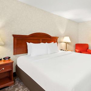 King Room Mobility accessible